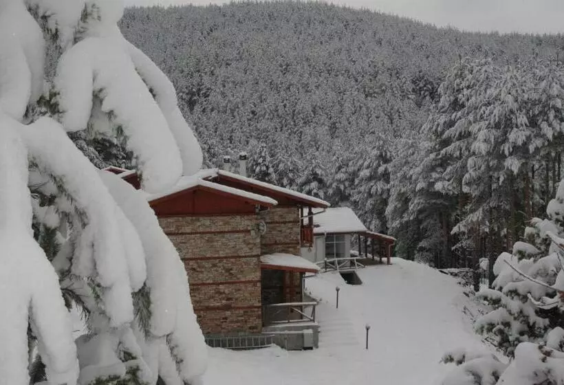ペンション Guesthouses Prav Kamen