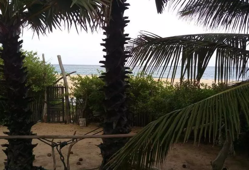 ペンション Light House Beach Hut