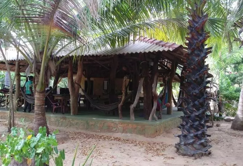 ペンション Light House Beach Hut