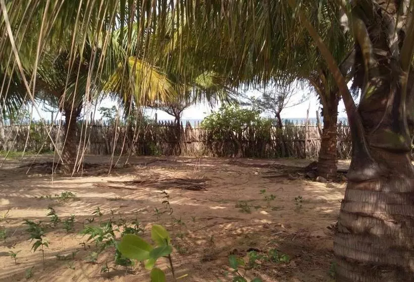 ペンション Light House Beach Hut