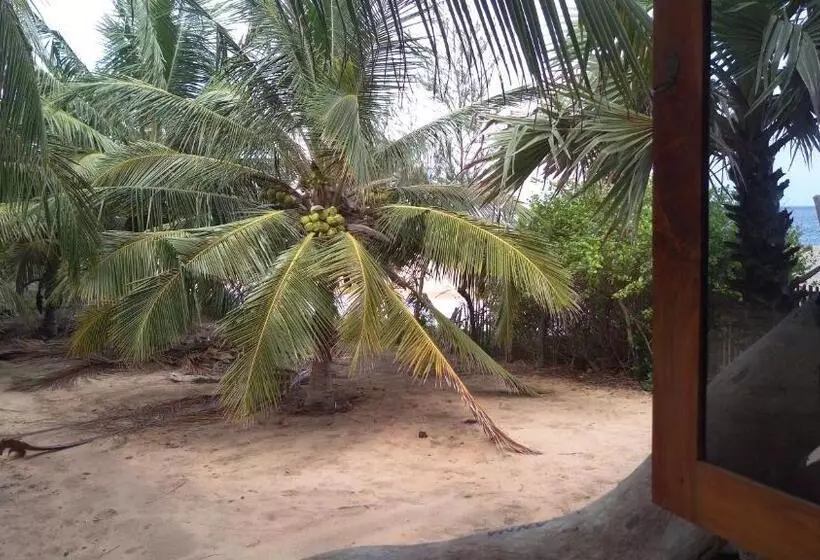 ペンション Light House Beach Hut