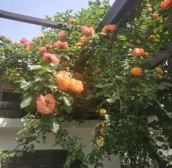 ペンション Papanovata House