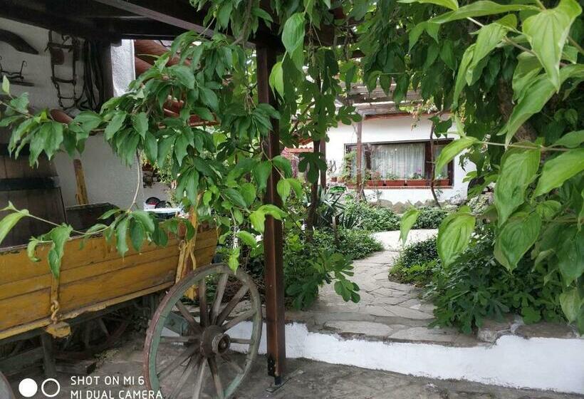 بنسيون Papanovata House