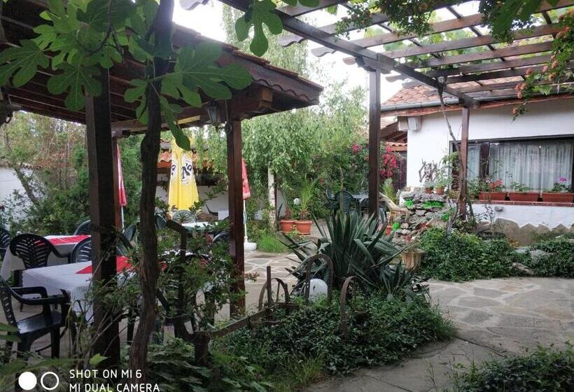 بنسيون Papanovata House