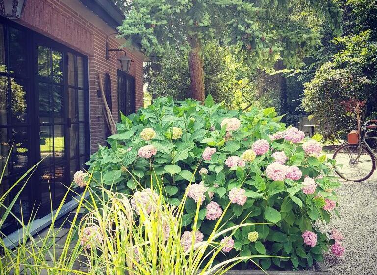 ペンション Vakantiewoning Guesthouse Momo