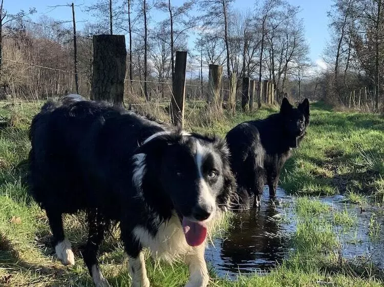 Majatalo Vakantiewoning Guesthouse Momo