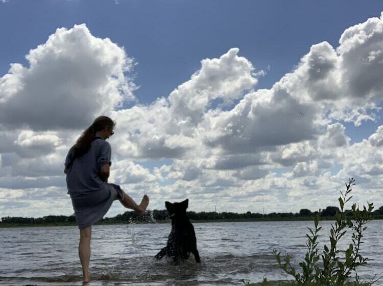 ペンション Vakantiewoning Guesthouse Momo