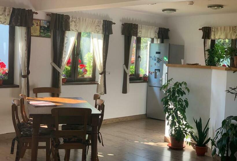 Pensiunea Casa Iancului