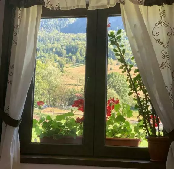 Pensiunea Casa Iancului