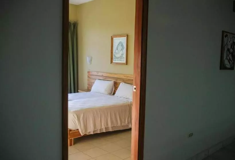 Pizzeria Colisseo B & B