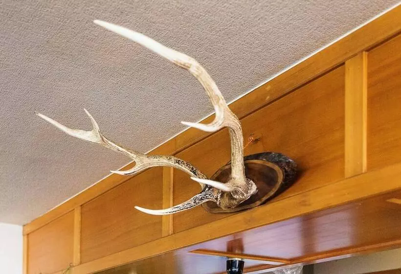 旅館 Minshuku Nihonkai