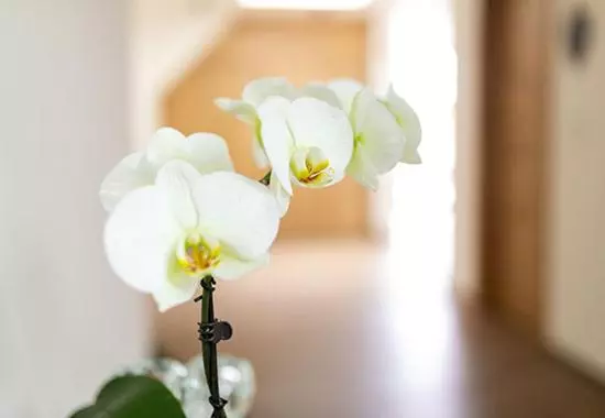 Retkeilymaja Gasthof Krone Ochsenfeld