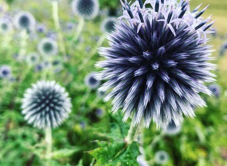 צימר Klefstad Gård