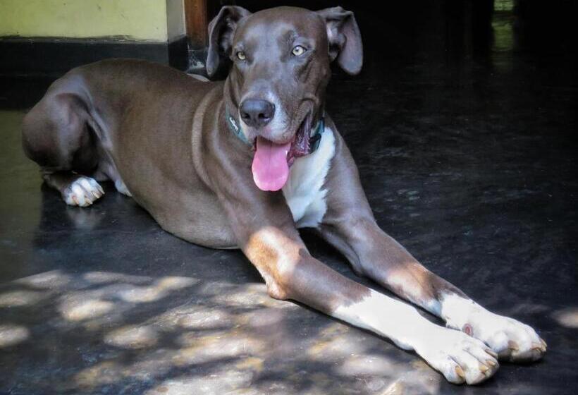 צימר Sri Mathie Historic Estate