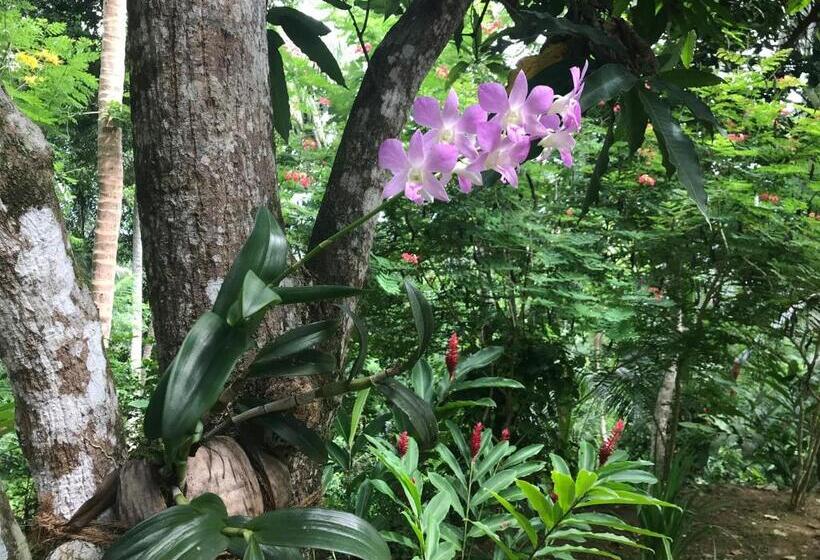 צימר Sri Mathie Historic Estate