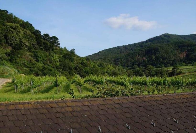 住宿加早餐 Weinbau Und Gästezimmer Pammer