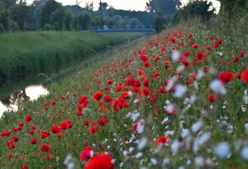 בית מלון כפרי Fewo Oberle