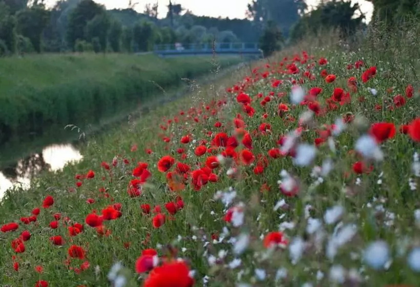 ホテル Fewo Oberle