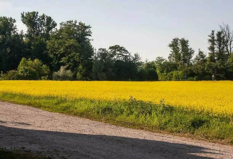 ホテル Fewo Oberle