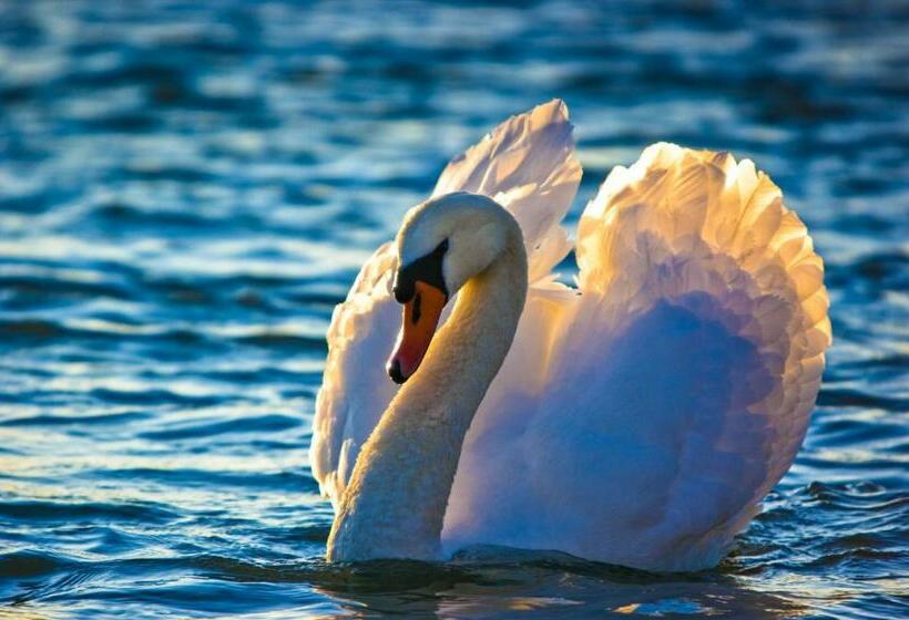 בית מלון כפרי Fewo Oberle