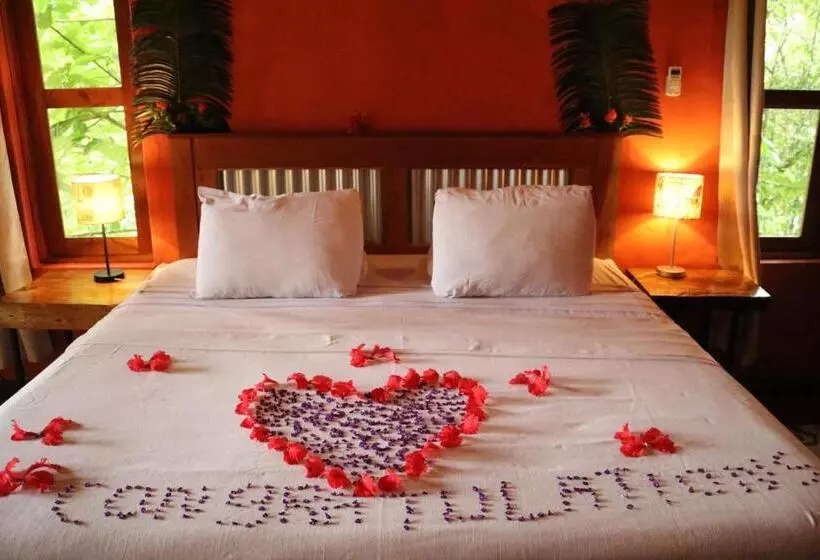 ホテル Morrillo Beach Eco Resort