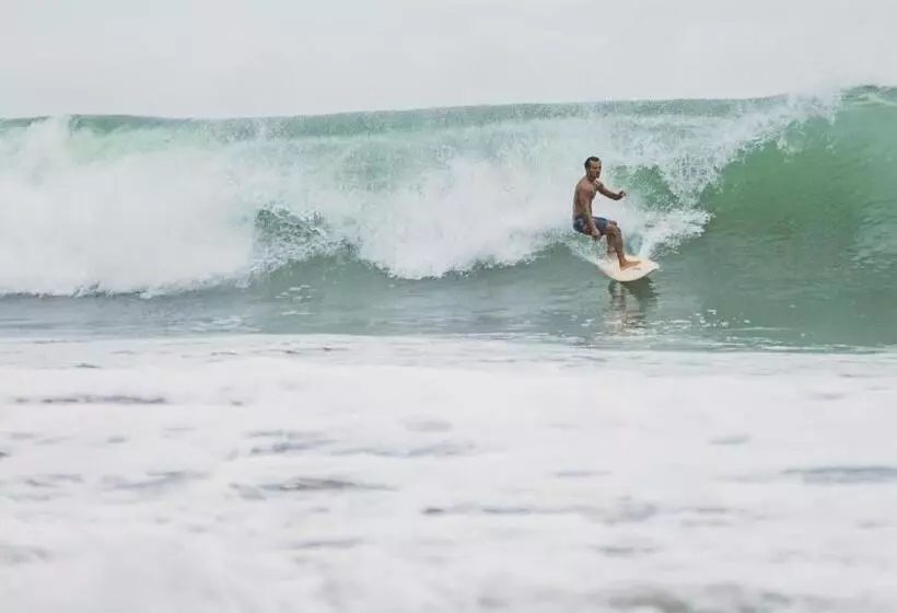 ホテル Morrillo Beach Eco Resort