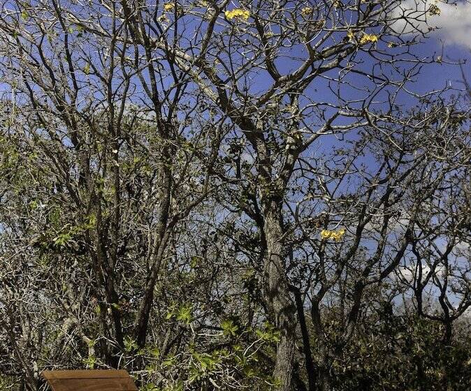 Hotel Pousada Trijunção