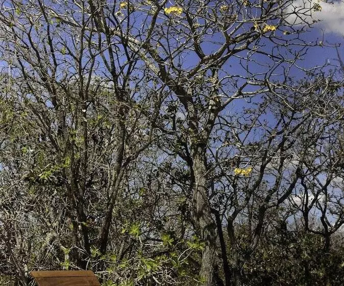 ホテル Pousada Trijunção