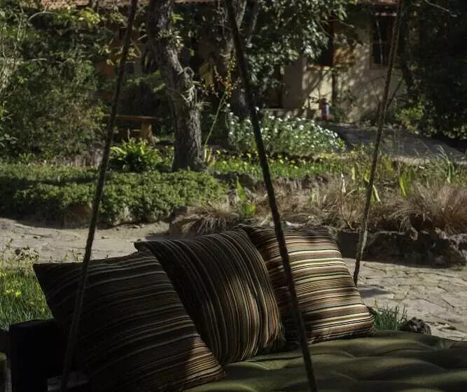 ホテル Pousada Trijunção