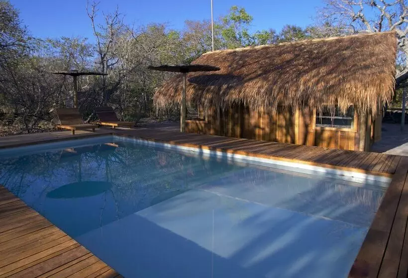 ホテル Pousada Trijunção