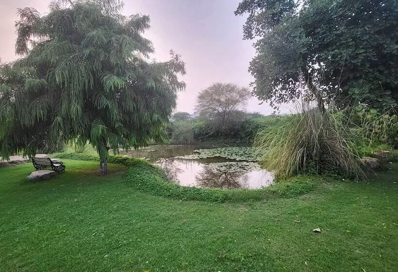 ホテル Sariska Manor Luxury Cottages Tehla