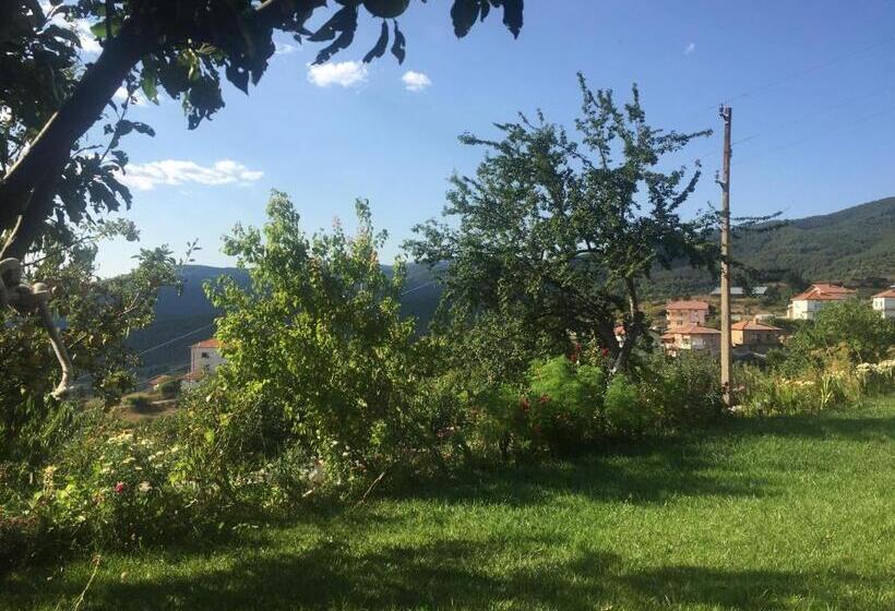 Пансион Guest House Agush