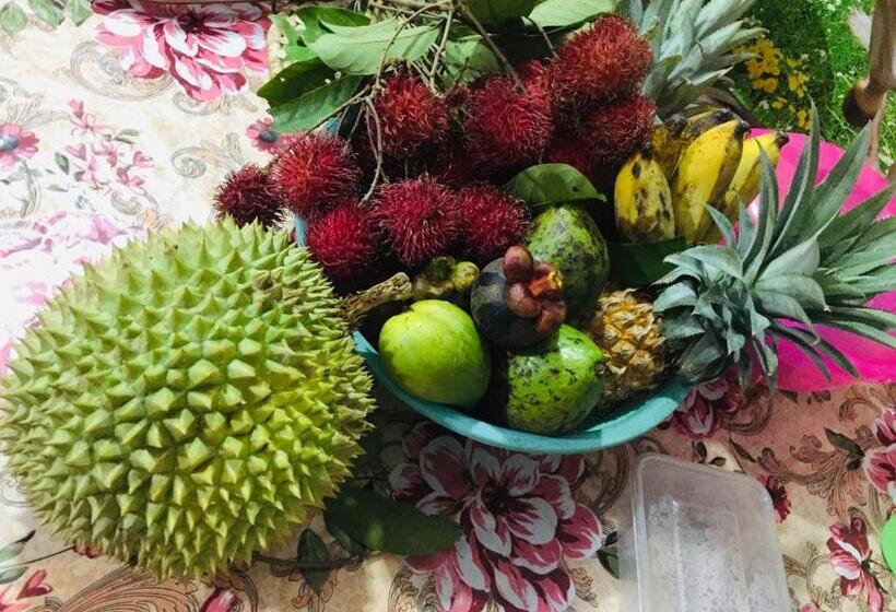 ペンション New Toropi Homestay