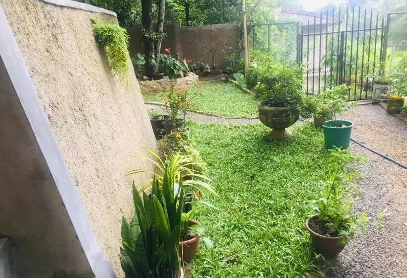 Majatalo New Toropi Homestay