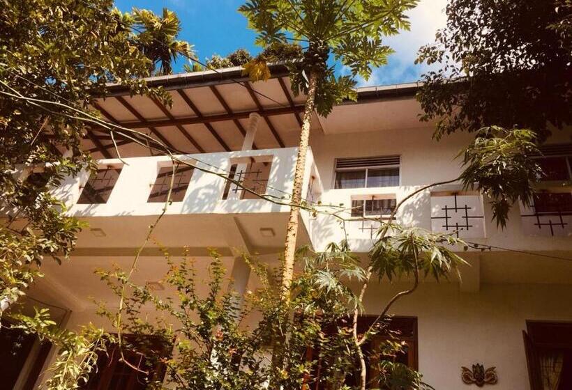 ペンション New Toropi Homestay