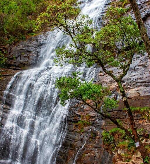 膳宿费 Pousada & Parada Olhos D água