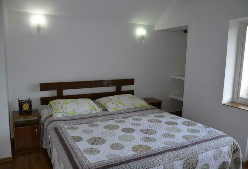 Pensionat Rustic Argesean