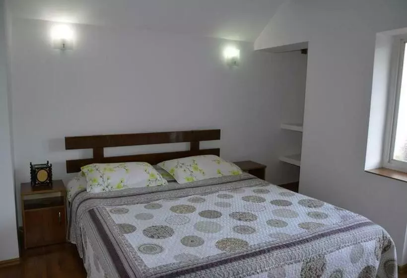 Pensão Rustic Argesean