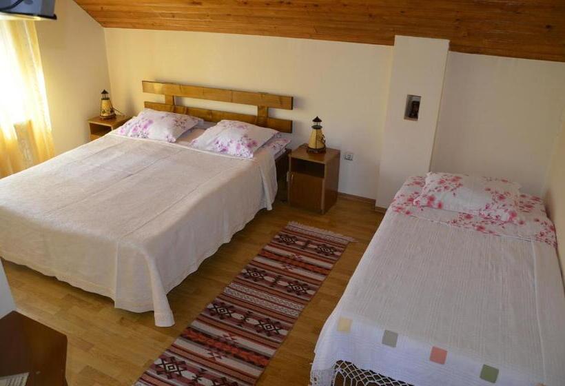 Pensionat Rustic Argesean