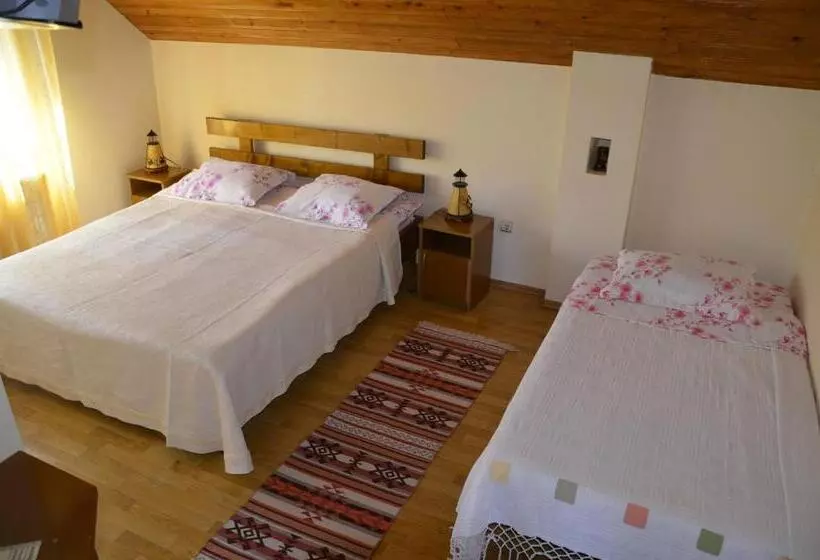 Pensão Rustic Argesean