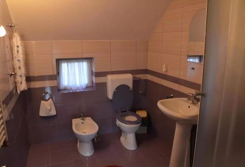 Pensão Rustic Argesean