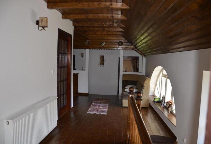 Pensionat Rustic Argesean