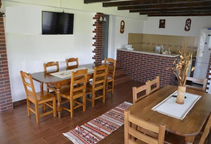 Pensionat Rustic Argesean