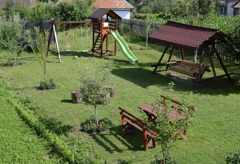 Pensionat Rustic Argesean