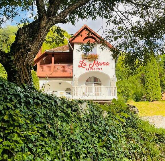Pensiune La Mama