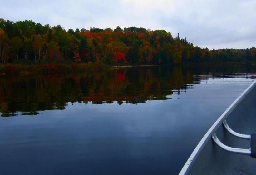 호스텔 The Arlington