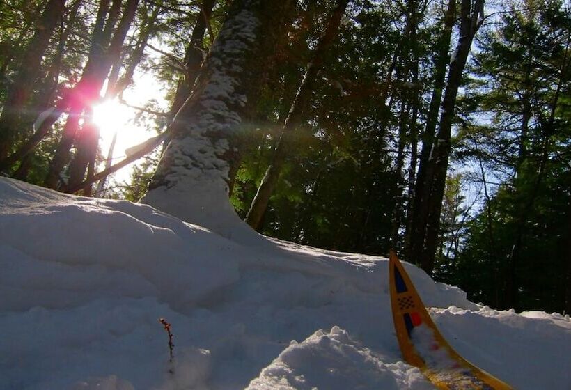 호스텔 The Arlington