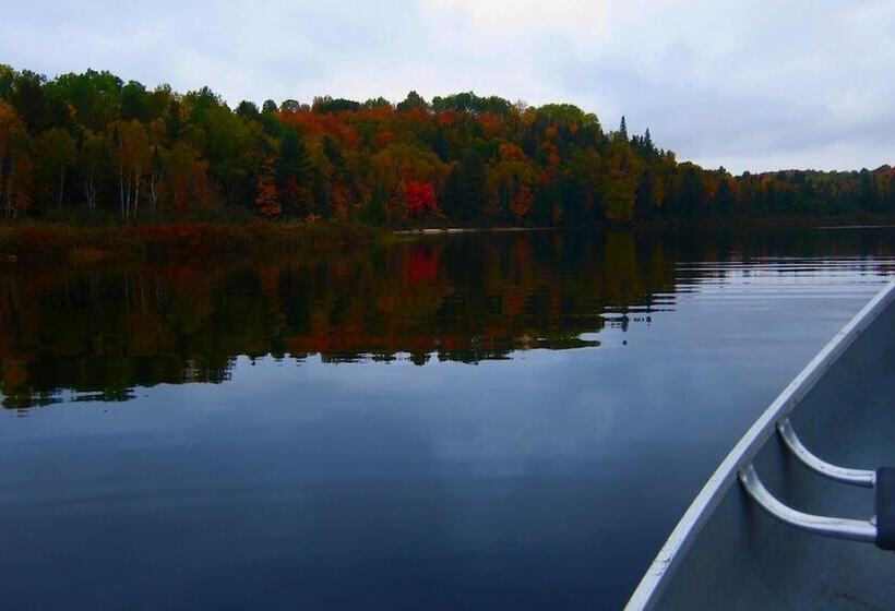 호스텔 The Arlington