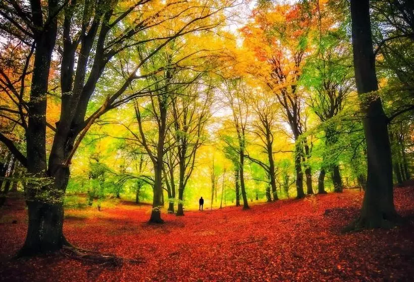 B&b Borgo Del Fornello