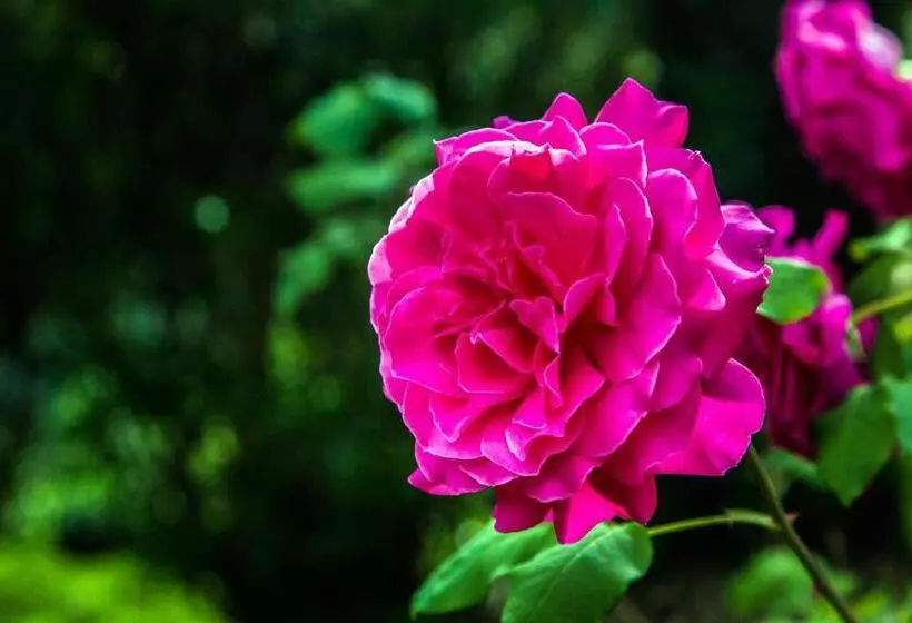 ベッドアンドブレックファースト Casa Matilde